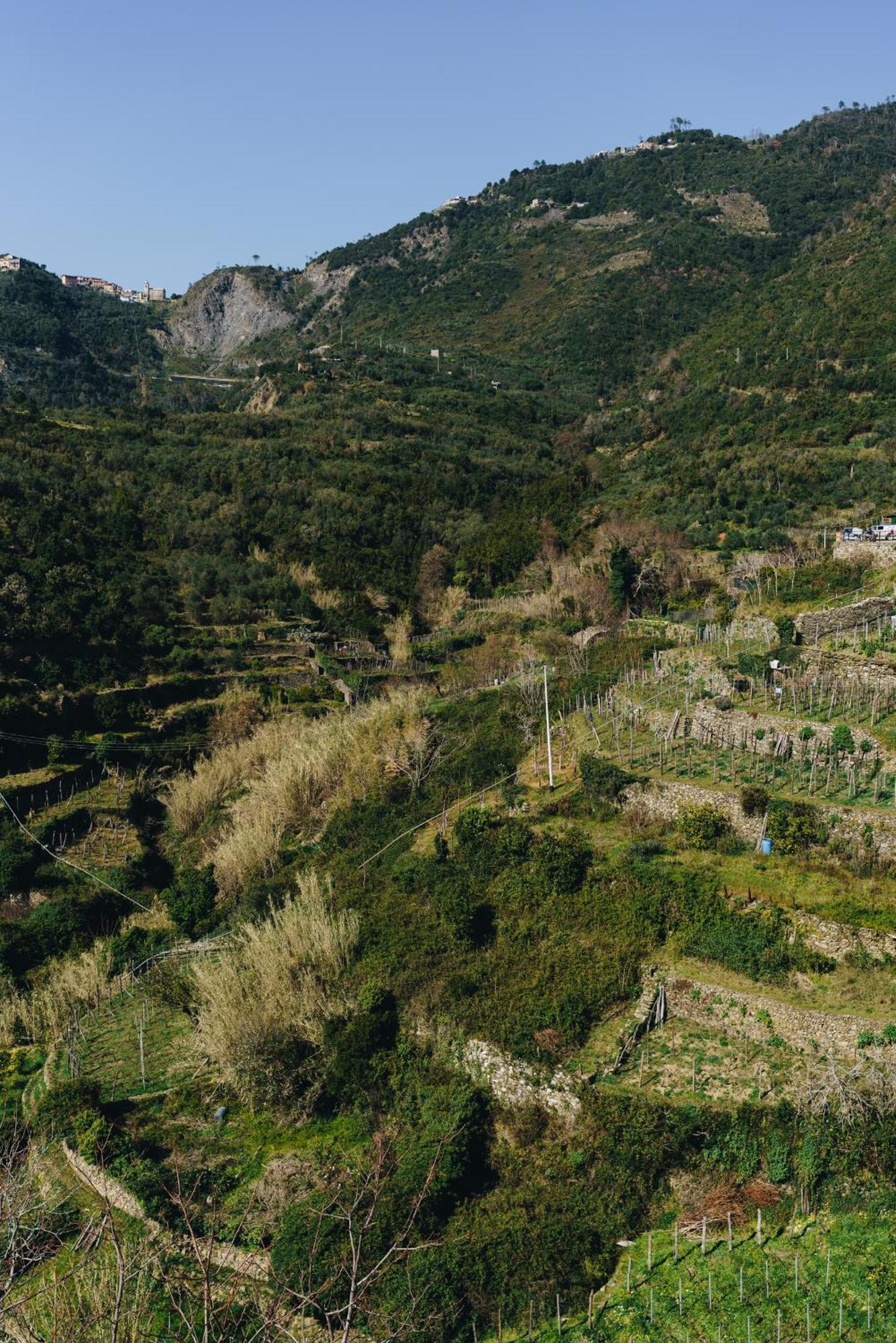 Punto Zero Hotel Corniglia Exterior photo